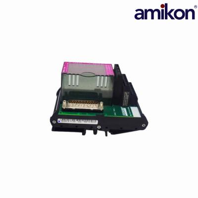 FOXBORO  P0916AG  Terminal Block