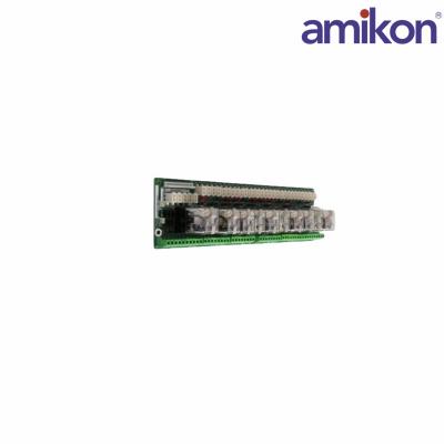 GE DS200RTBAG2A DS200RTBAG2AHC	RELAY TERMINAL BOARD