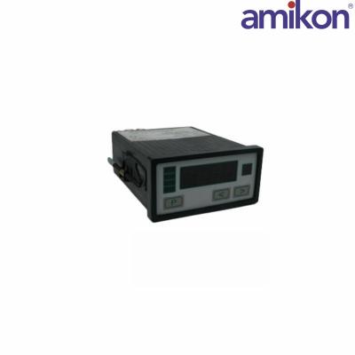 NEGELE PROZESSORANZEIGE DPM-GS-2GW-S high-precision process display