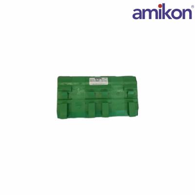 WOODWARD	9905-968	CHANNEL ANALOG INPUT