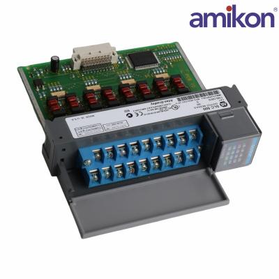 1746-OB16	Discrete DC output module