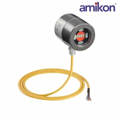 Honeywell	U2-1010S-PF	Flame Detector