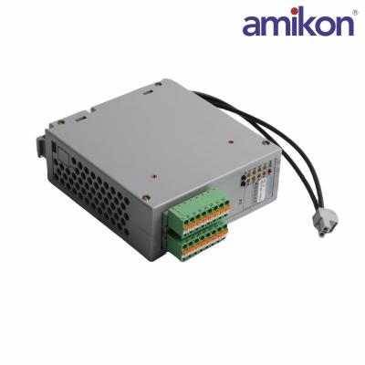 SIEMENS	6DD1681-0AE2	Binary Input or Output