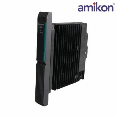 SIEMENS	39SDM024DCCBN 16101-174/8	Standard Discrete Module