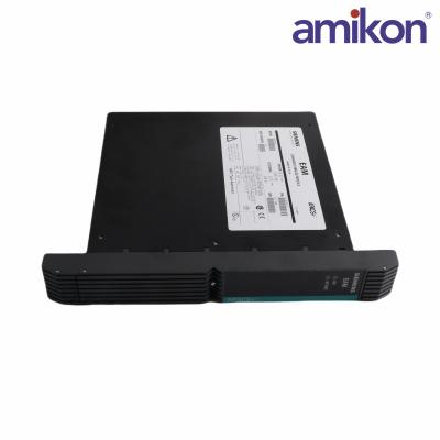 SIEMENS	39SDM024DCCBN 16101-174/12	Standard Discrete Module