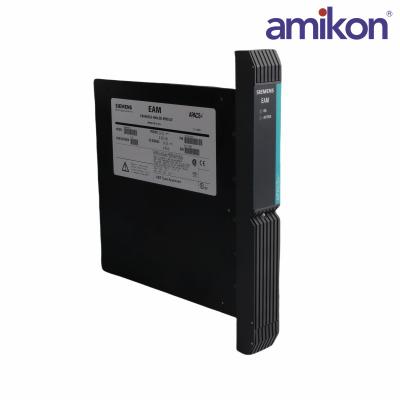 SIEMENS	39SDM024DCCBN 16101-174/8	Standard Discrete Module