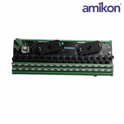 SIEMENS	16436-1-03	ERMINATION MODULE