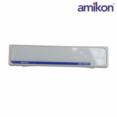 WESTINGHOUSE	1C31116G02	Analog Input Module