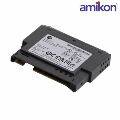 1734-ACNR/1734-Ob4E//1734-IB4	Interface Modules