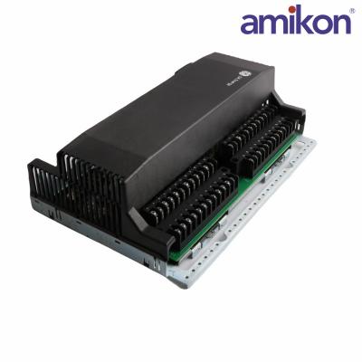 GE	IS230TNTRH1C	Analog Input Module