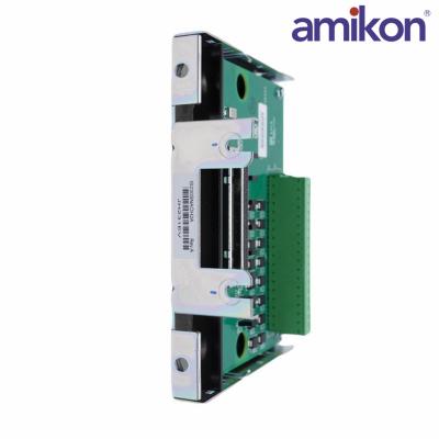 GE	IS230SNTCH4A	Thermocouple Input Assembly