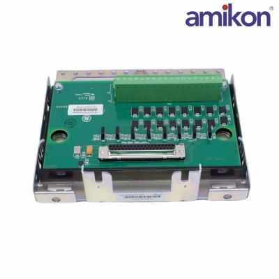 GE	IS230SNAIH2A	Analog I/O DIN Rail Module