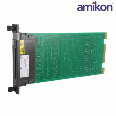 ABB IMDSI13	Digital Input Slave Module