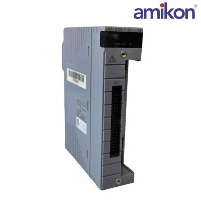 YOKOGAWA  AAI835 Analog I/O Module