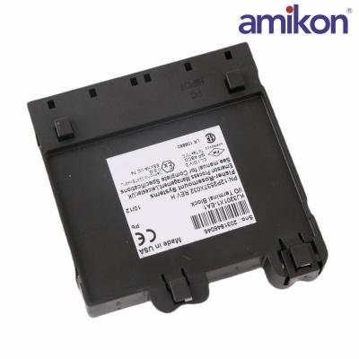 Emerson	VE4001S2T2B4 KJ3201X1-EA1 Redundant Discrete Terminal Block