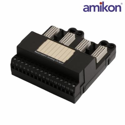 EMERSON VE4035S2B1 KJ3221X1-EA1	Analog Ountputs Power Supply