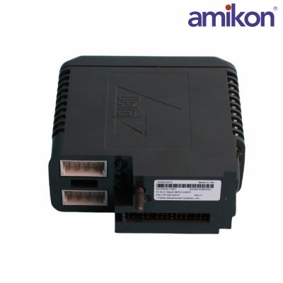 Emerson	VE4037P0 Fieldbus I/O Interface Cards