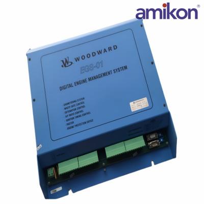 WOODWARD	EGS-01(VM2104.0000) Power Regulator