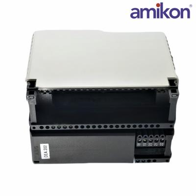 Schneider  AS-BDEA-202 A120 Analog Input Module