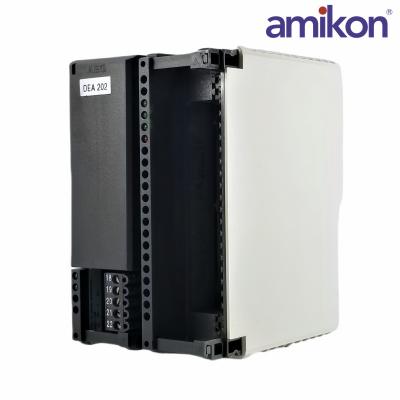 Schneider  AS-BDEA-202 A120 Analog Input Module