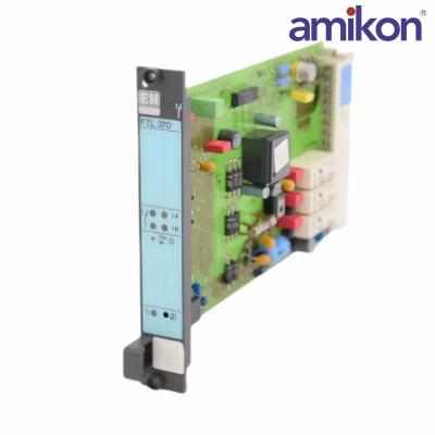 E+H   FTL370	Nivotester