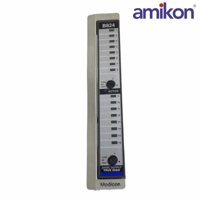 Schneider  AS-B824-016	Output Module