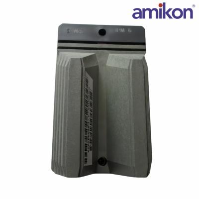 FOXBORO IPM6 CM902WX	I/A SERIES  POWER MODULE