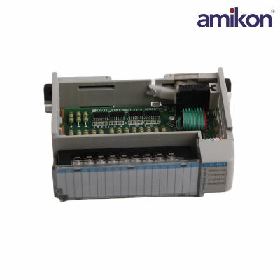 1762-IQ16 Input Module