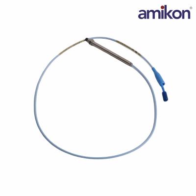 330106-05-30-05-12-05