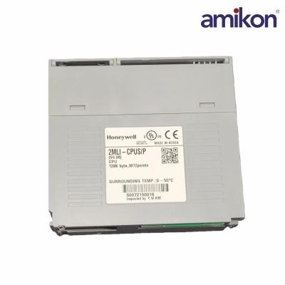 2MLI-CPUS/P