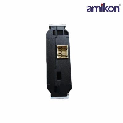 KL2101X1-BA1 SE6501T01