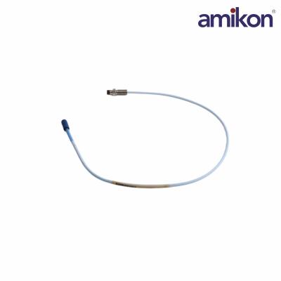 RS900106-05-30-05-02-00