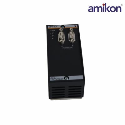 DPM200