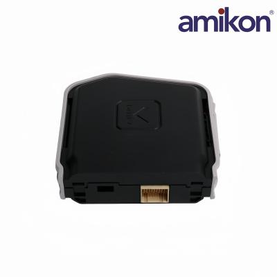 KL2101X1-BA1 12P4987X062