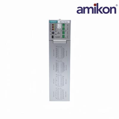 6DL3100-8AC