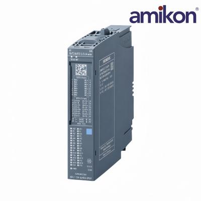 6DL1134-6UD00-0PK0