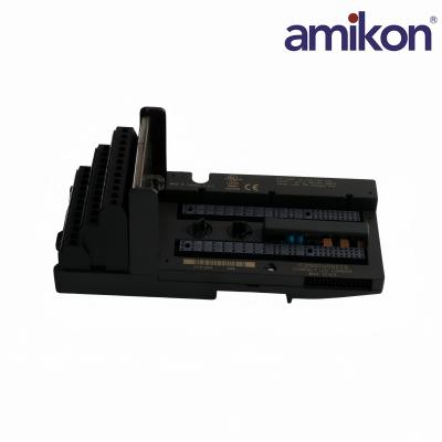 IC200CHS022E