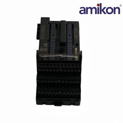 IC200CHS022E