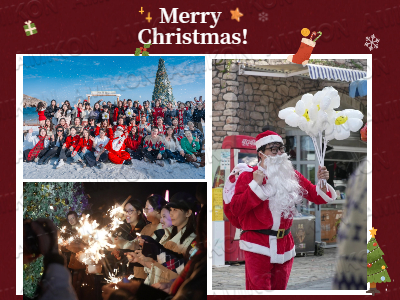 Merry Christmas! Gratitude for your company, warmth by your side