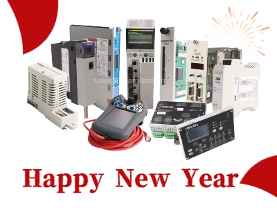 Welcoming the New Year with Gratitude and Exciting Opportunities