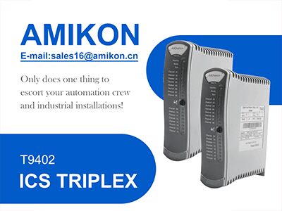 ICS Triplex T9402 Digital Input Module