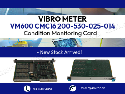 What Makes the VIBRO METER VM600 CMC16 200-530-025-014 the Smart Choice for Modern Machinery Monitoring?