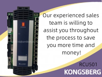 RCU501: A Cutting-Edge Solution for Real-Time Process Control
